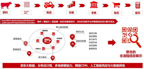區塊鏈涌上互聯網風口 后起之秀能否搶追京東阿里？